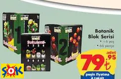 GOKİDY BOTANİK BLOK SERİSİ
